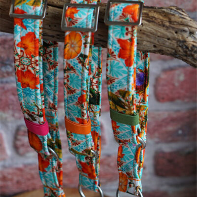 Premium Zugstopp Halsband Sweet Valencia