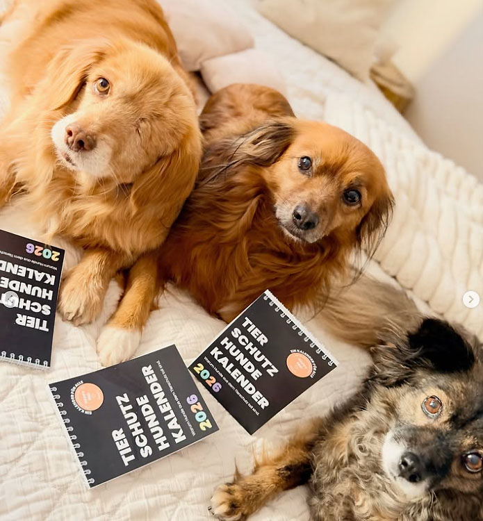 Tierschutzkalender 2026 – Bild 2