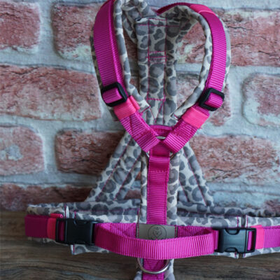 Sofortkauf Geschirr LeoLove Magenta Maßanfertiung Gr.S