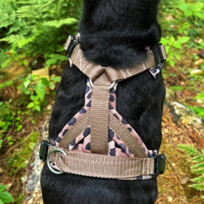 Verstärkung Rückensteg