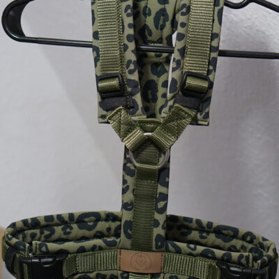 Sofortkauf Geschirr Leo Khaki