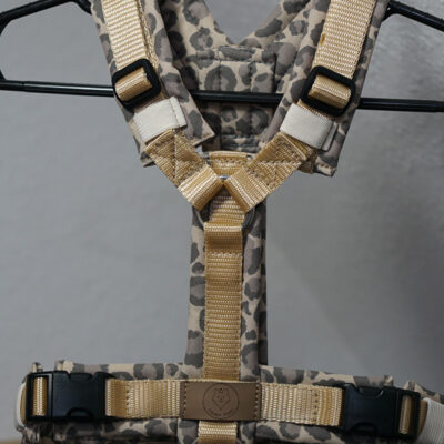 Sofortkauf Geschirr Leo LOVE