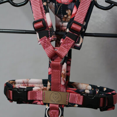 Sofortkauf Geschirr Mystic bloom