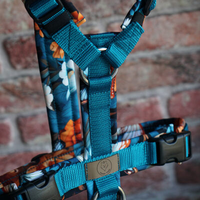 Sofortkauf Geschirr Avatar Gr. M