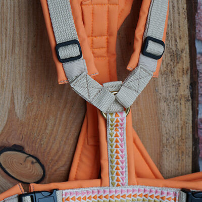 Sofortkauf Geschirr Apricot Akzent S/M