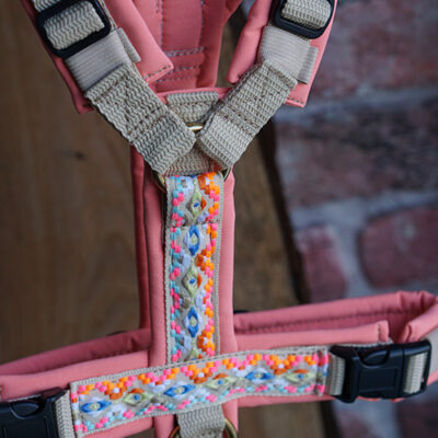 Sofortkauf Geschirr Coral Akzent Gr. S