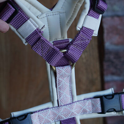 Sofortkauf Geschirr Boho Purple