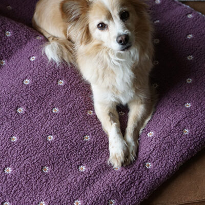 Kuschelpad Daisys