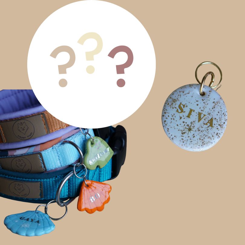 Hundemarke Surprise me!