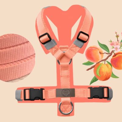 Geschirr Peach