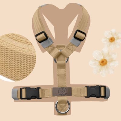 Geschirr Beige