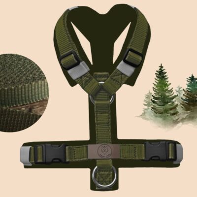 Geschirr Khaki