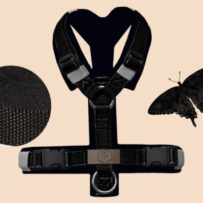 Geschirr Black