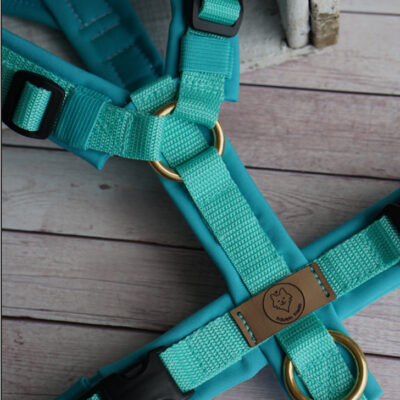 Geschirr Aqua