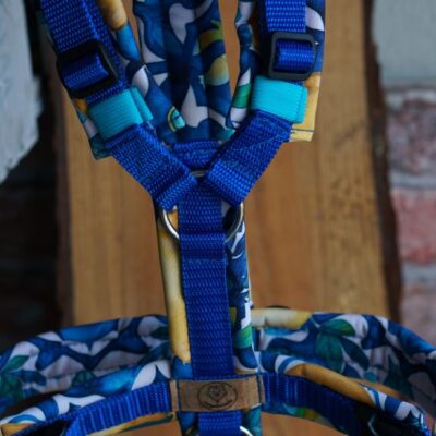Sofortkauf Geschirr Blue Lemontree S/M