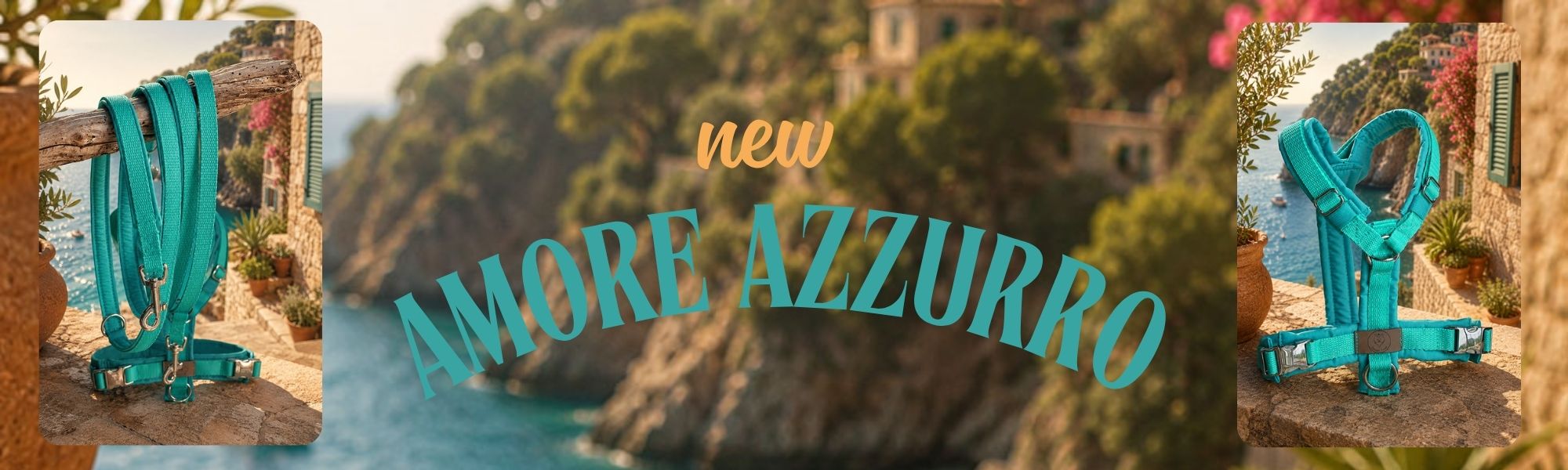 2024 (Banner)