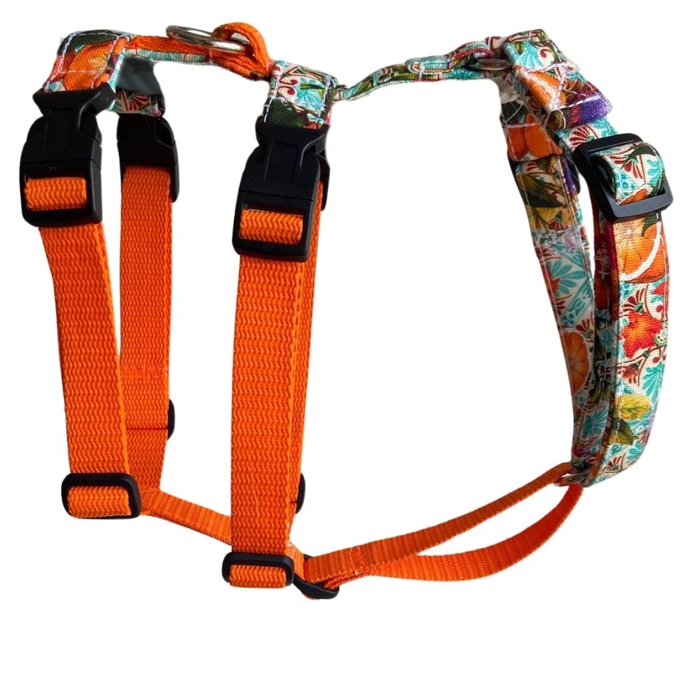 DUO Safety Geschirr Sweet Valencia