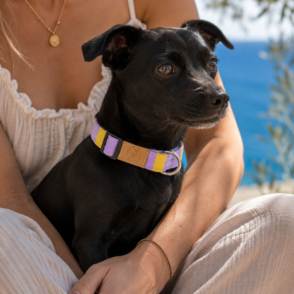 PURE Halsband Beach Stripes – Bild 5