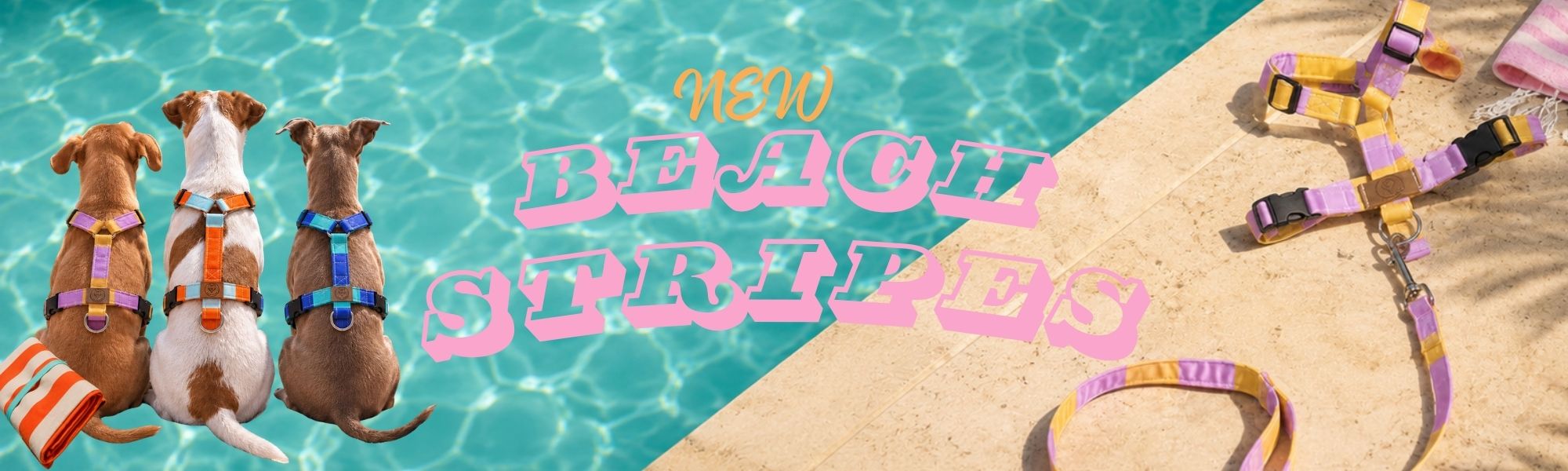 Coral Breeze