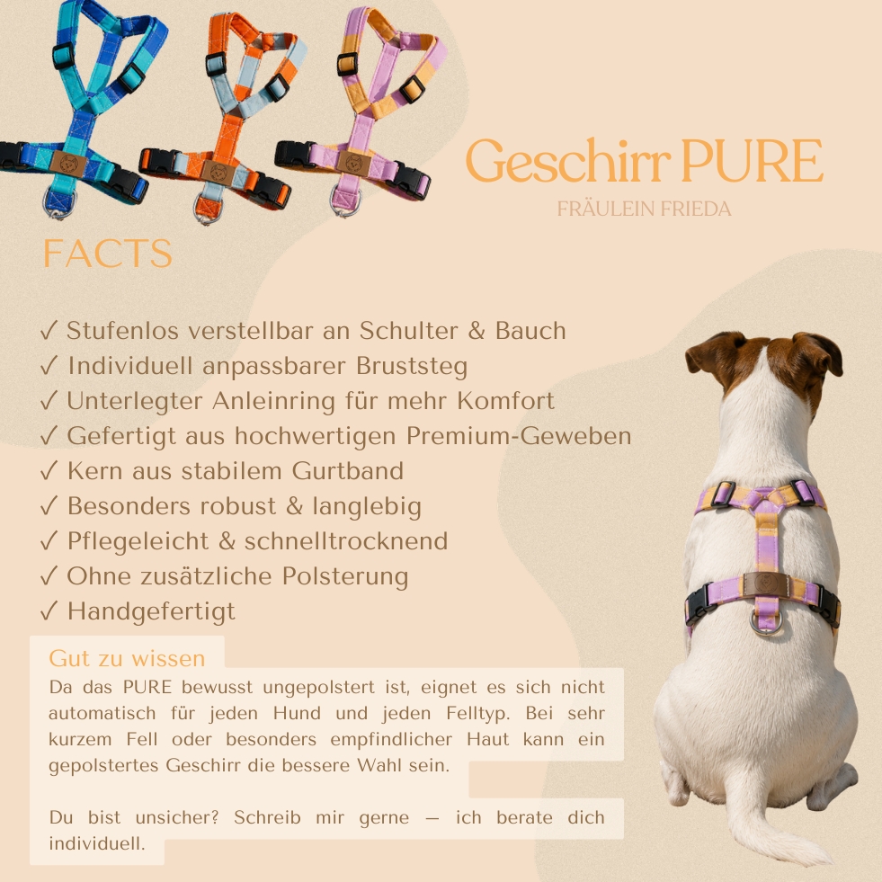 PURE Geschirr Beach Stripes – Bild 2