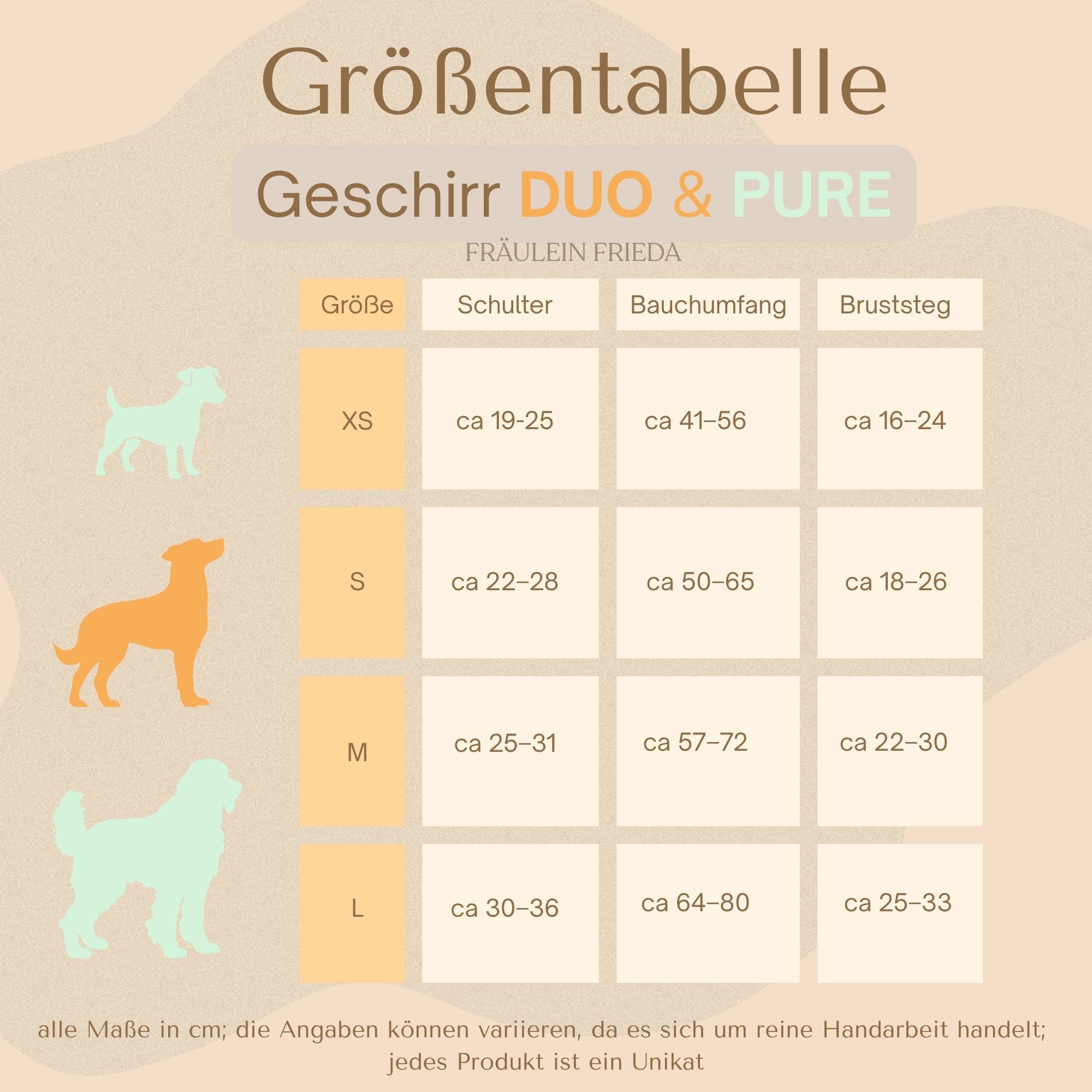PURE Sofortkauf Geschirr Mexico – Bild 4