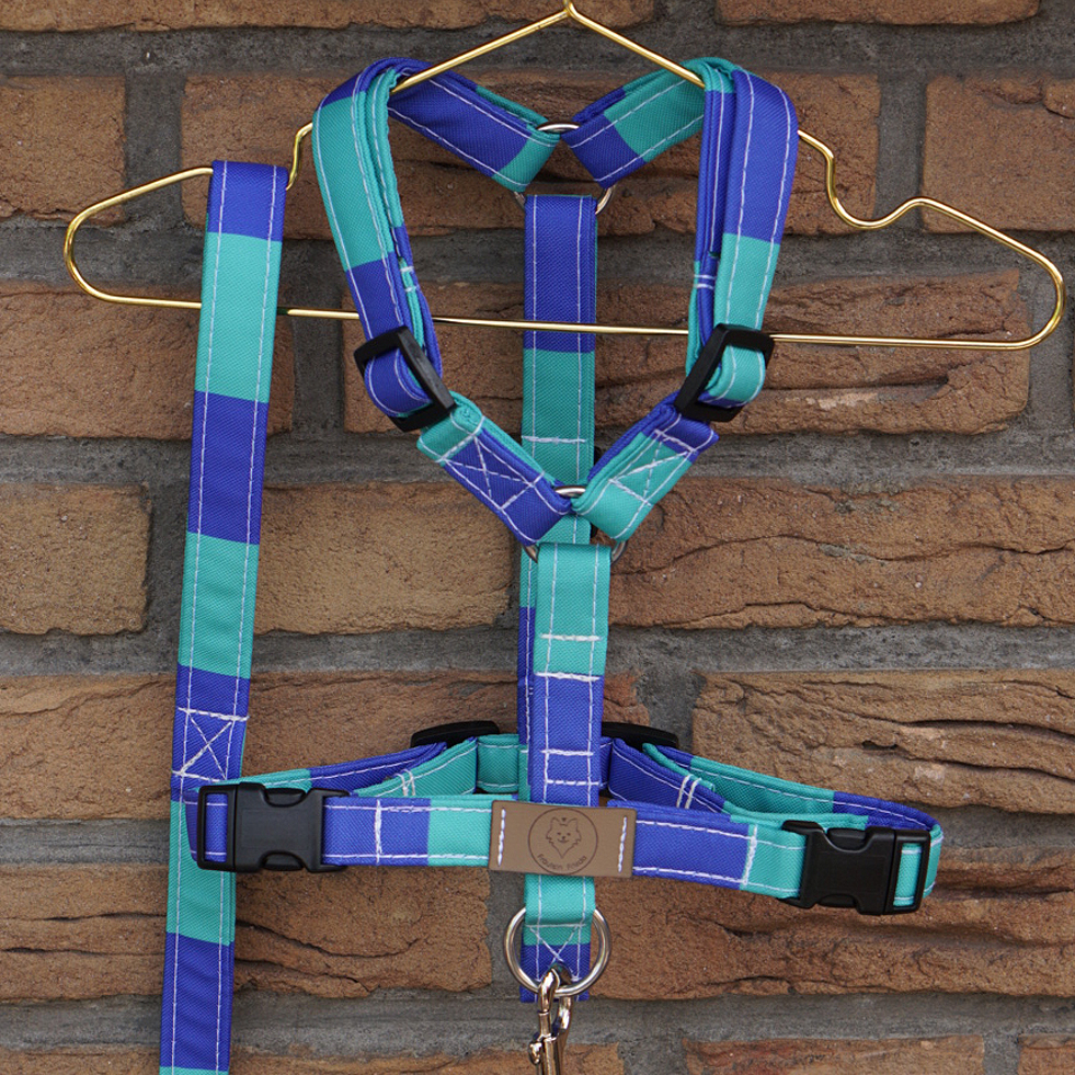 PURE Geschirr Beach Stripes – Bild 5
