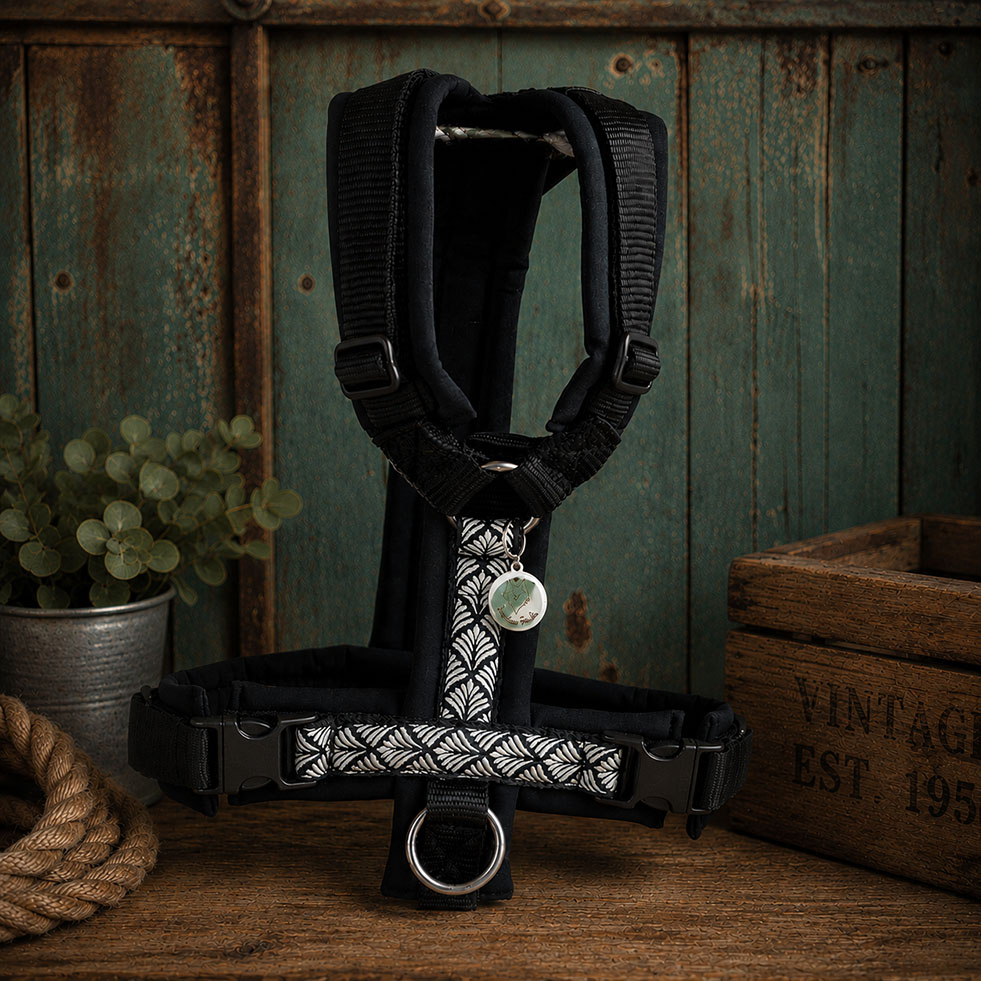 Geschirr Black Boho Silver