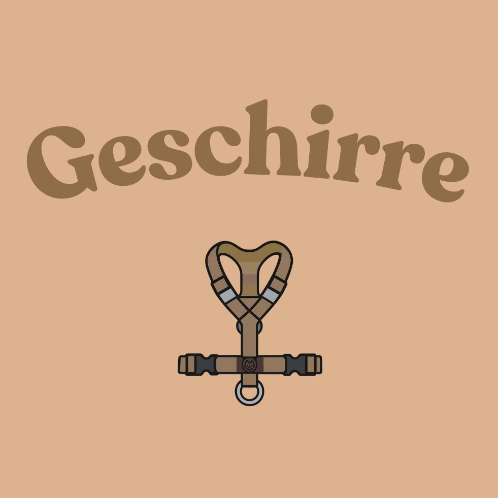 Reel Sofortkauf Special Geschirre Sets