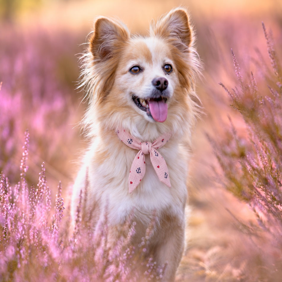 Frilly - das kleine Knotentuch – Bild 3