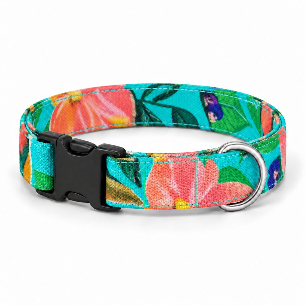Halsband_tropical